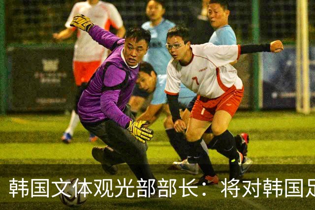 韩国文体观光部部长：将对韩国足协展开专项审计 成立调查委员会